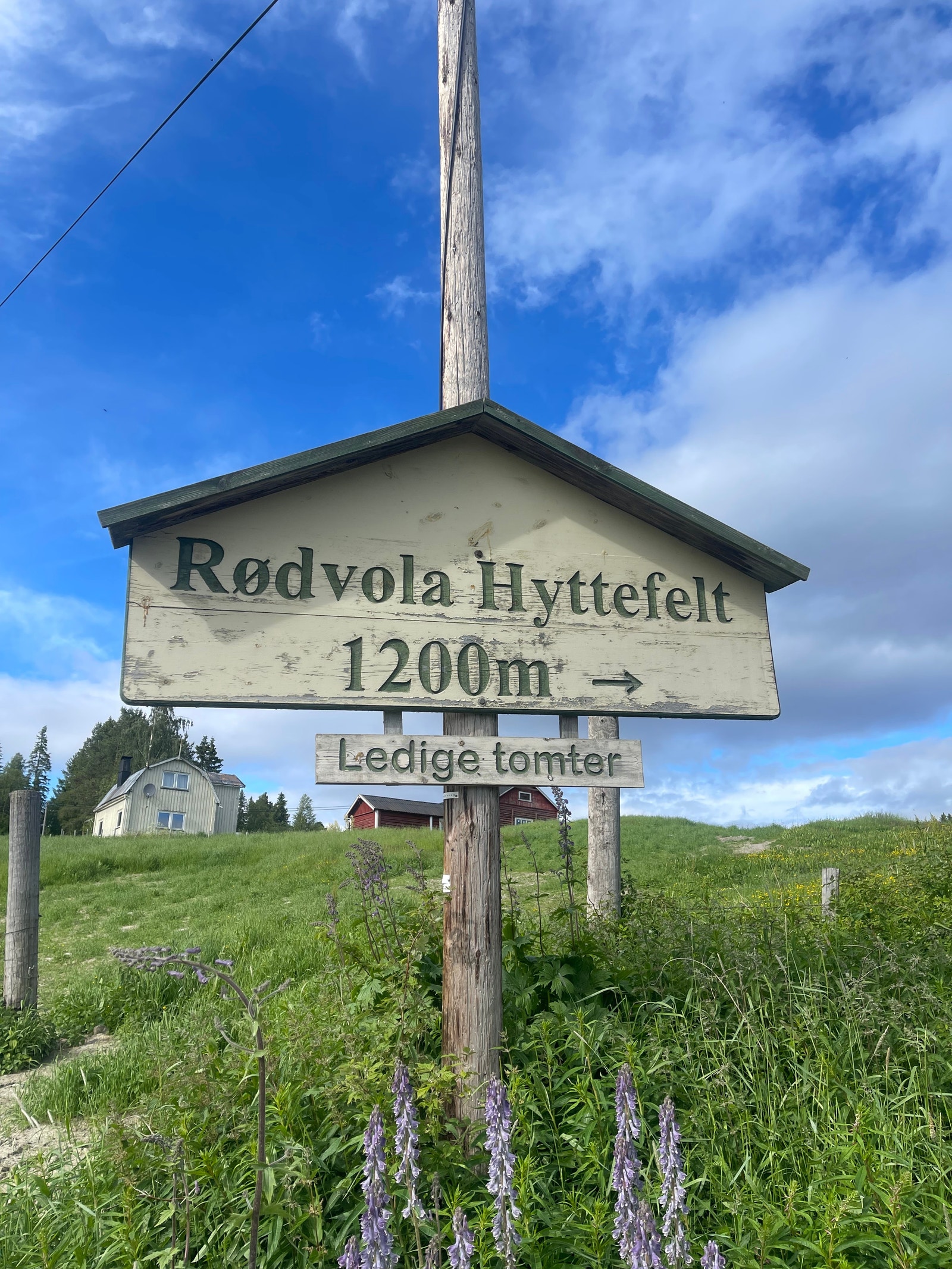Tomtene ligger vestvendt, ca. 600 moh Galleribilde