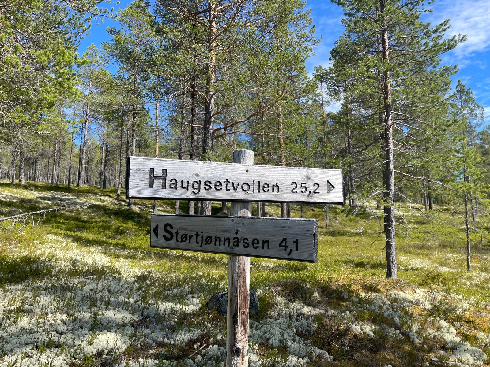Rødvola byr på flotte tur- og sykkelmuligheter Galleribilde