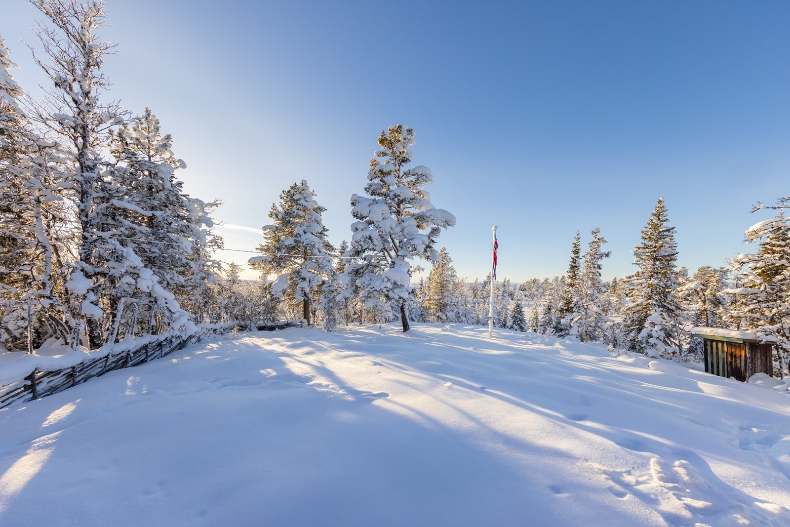 Herlig og luftig tomt Galleribilde