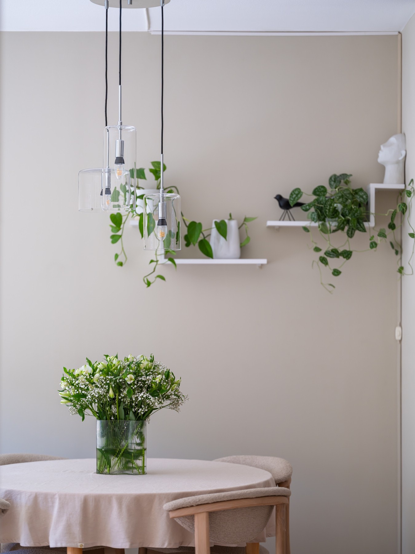 Sees vi? Galleribilde