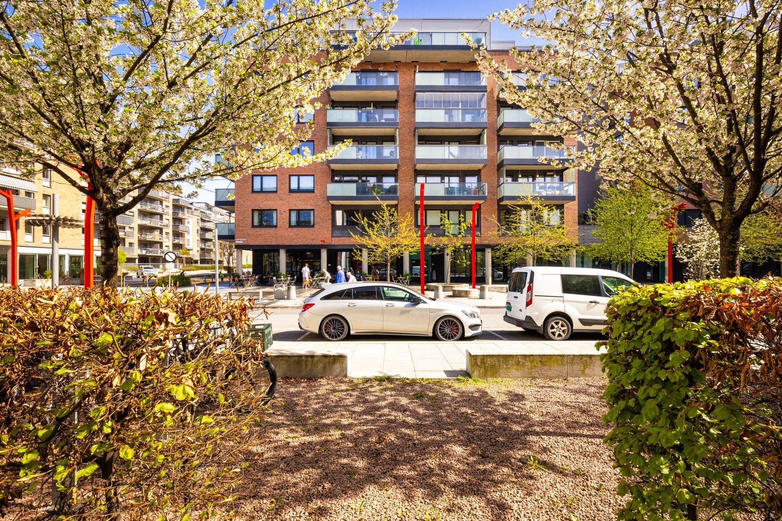 Snart blomstrer kirsebærtrærne for fullt - det er bare å glede seg! Galleribilde