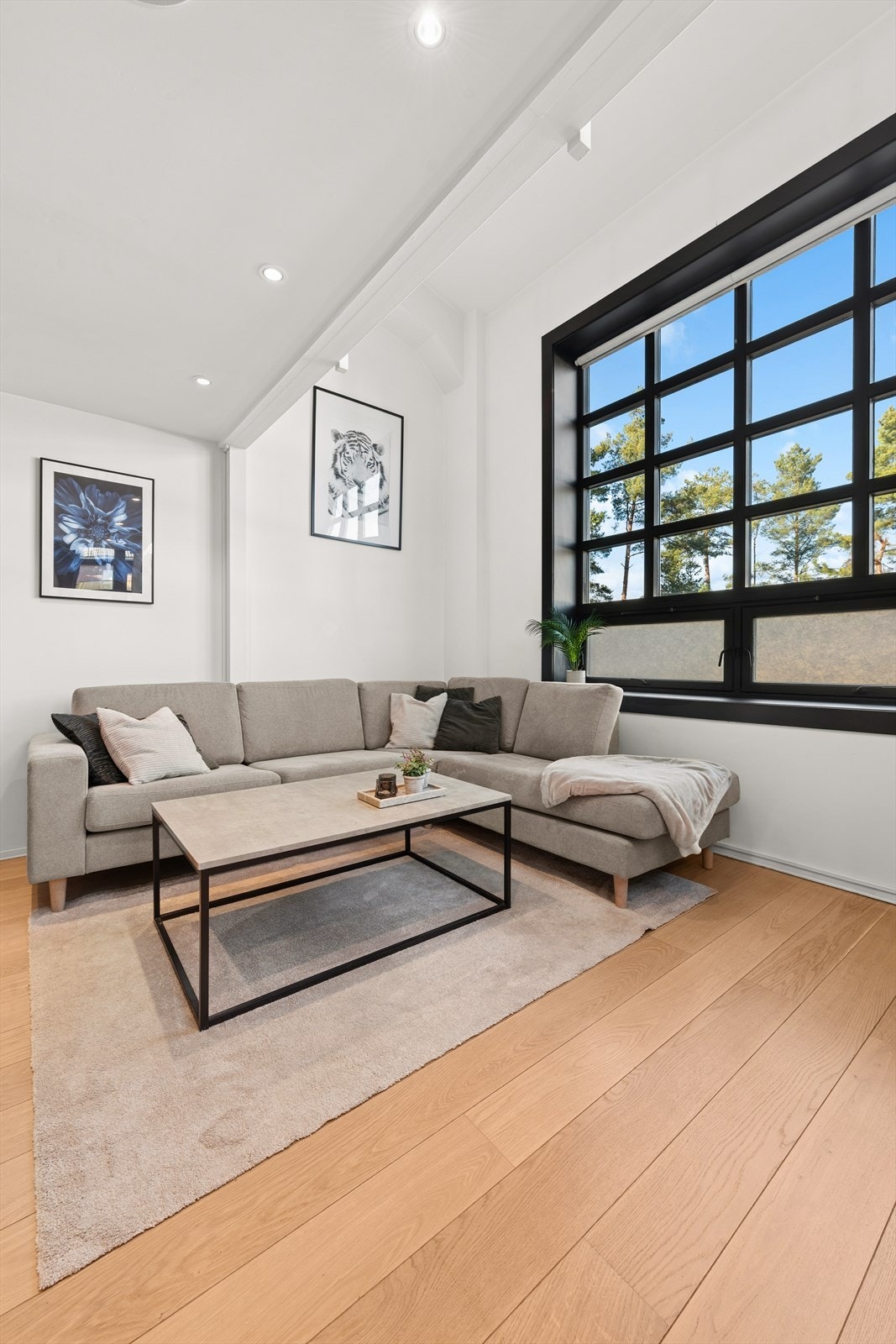 Det er godt med lysinnslipp i denne fine hjørneleiligheten. Galleribilde