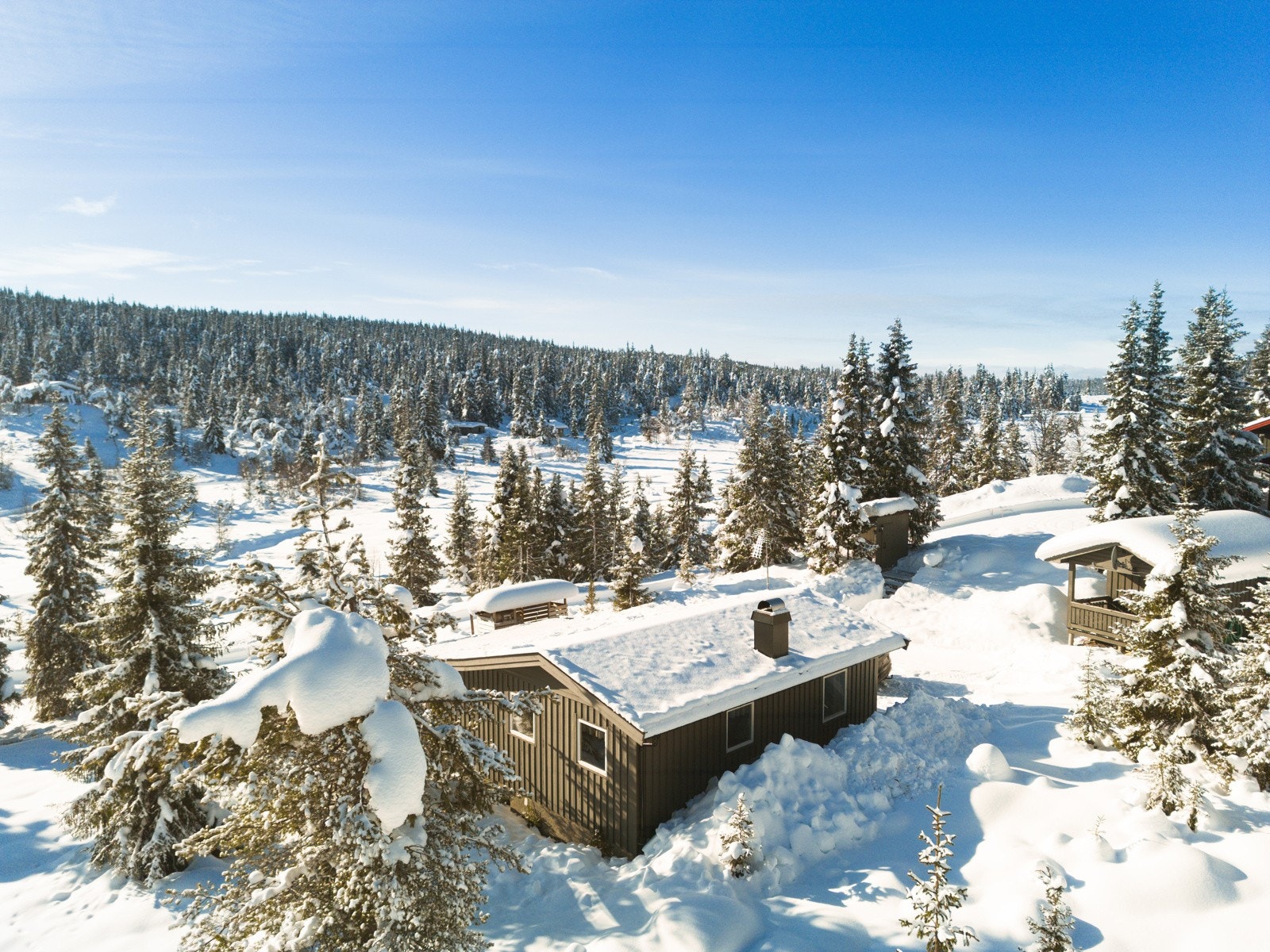 DJI_0113 Galleribilde
