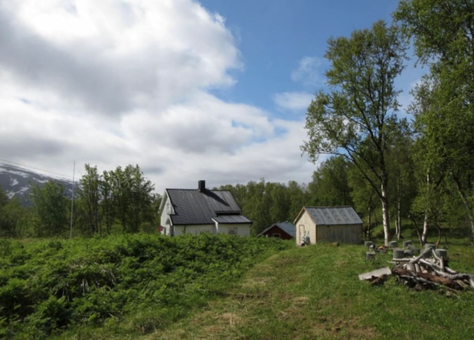 Selgers private foto. Galleribilde
