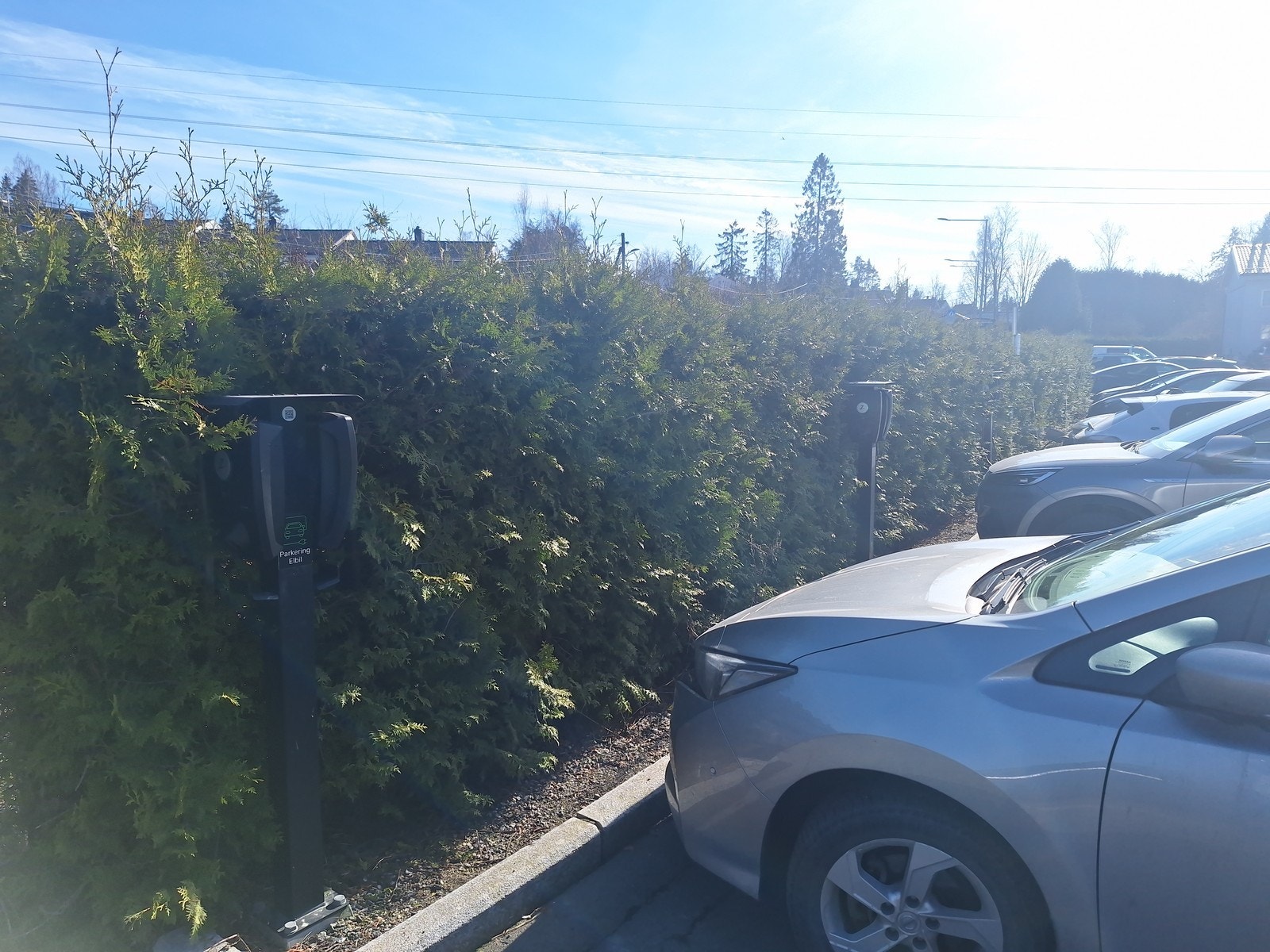 Parkering på sameiets fellestomt. Galleribilde