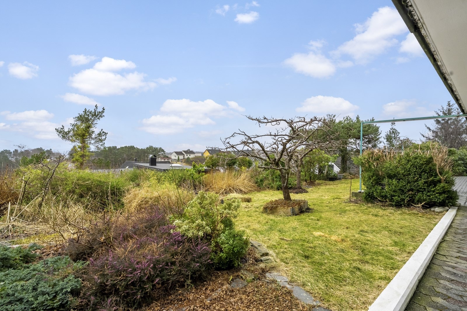 Veletablert hage med både plomme og epletre Galleribilde