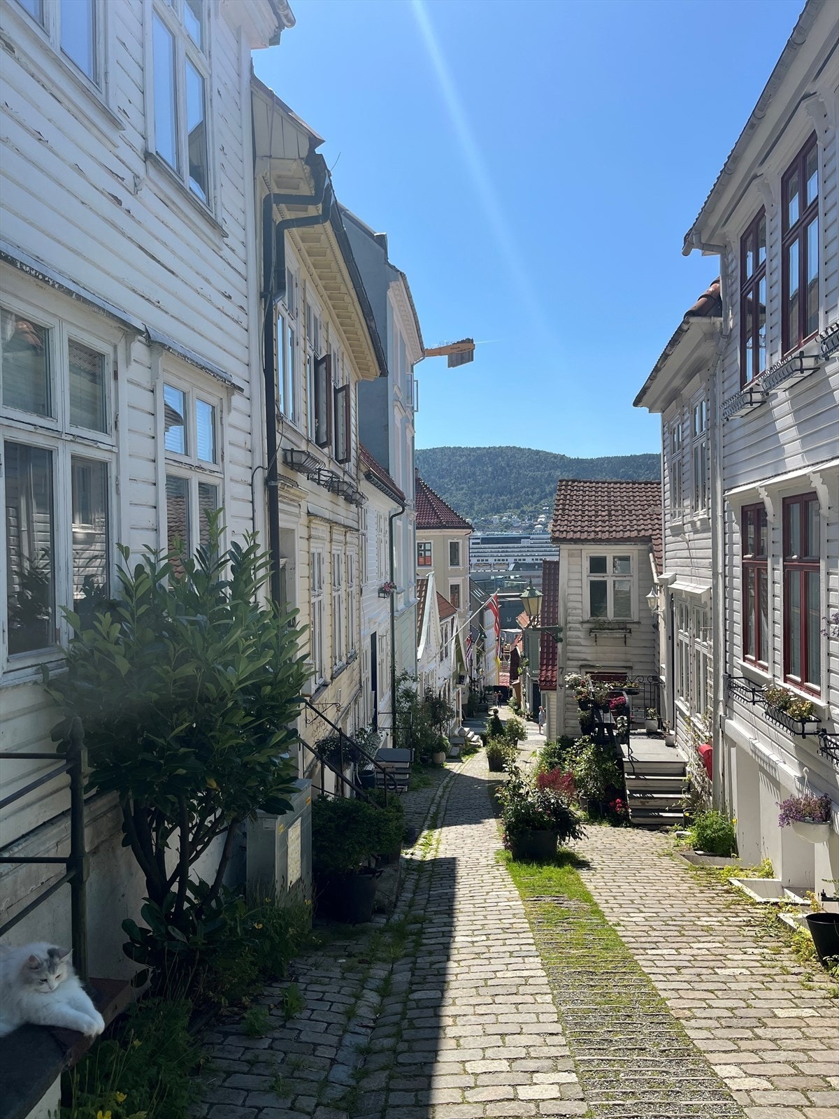 Nordnes er kjent for sine små brosteinsbelagte gater og trange smau Galleribilde