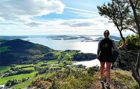 Illustrasjonsbilder fra nærområdet Galleribilde