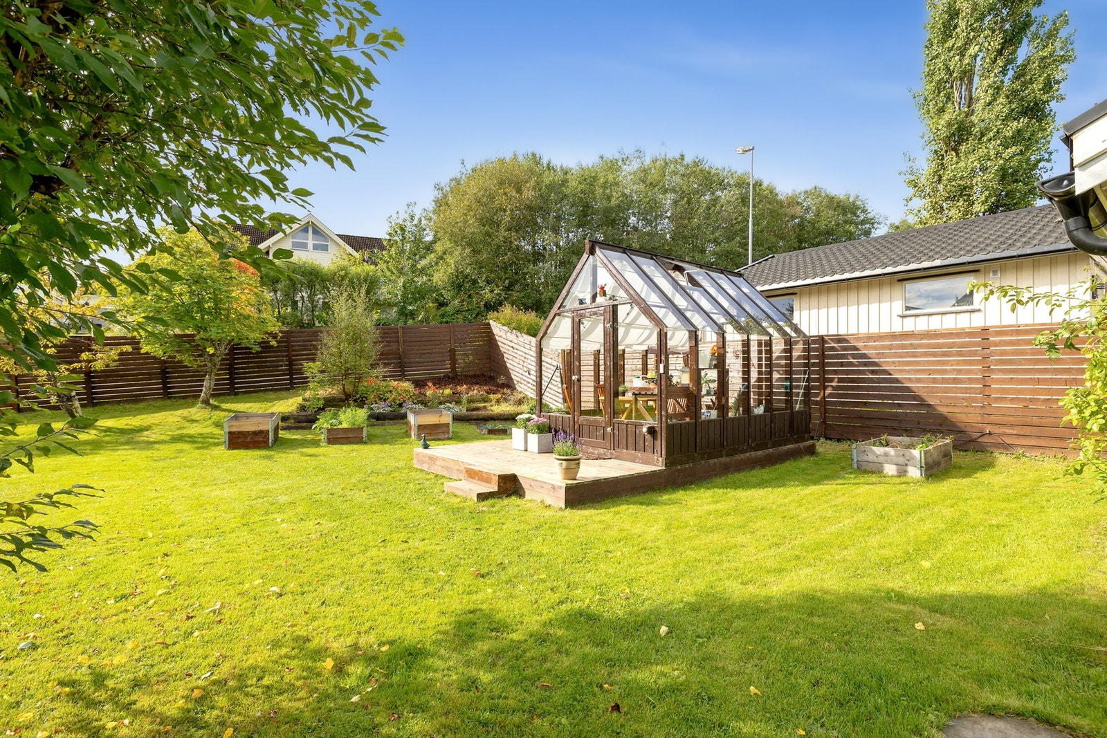 Et harmonisk uteområde med frodig plen og eget drivhus, perfekt for deg som liker å dyrke og være ute hele sesongen. Galleribilde