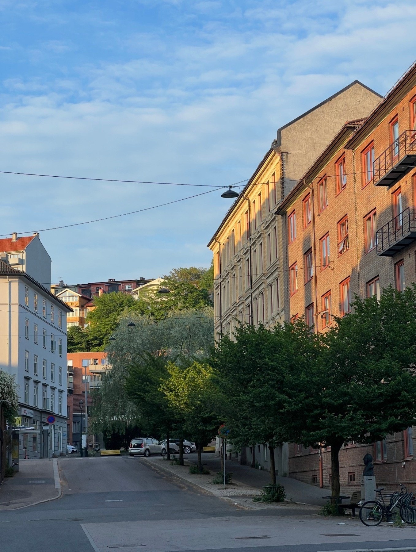 Sommerbilde utenfor (selgers private bilde) Galleribilde
