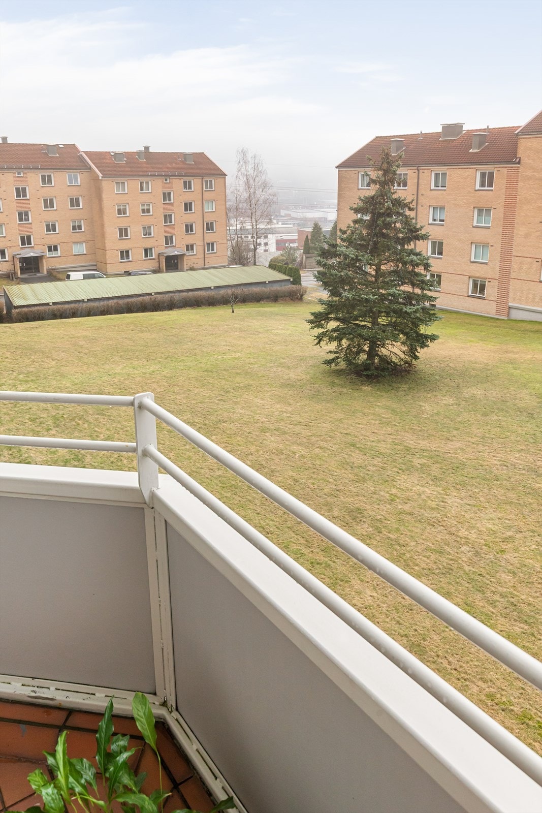 Utsikt fra balkongen til borettslagets frodige fellesarealer. Galleribilde