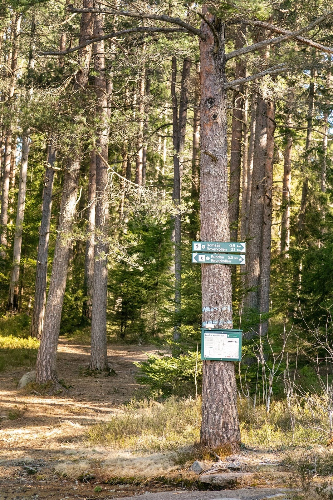 Gode turmuligheter i umiddelbar nærhet til boligen. Galleribilde