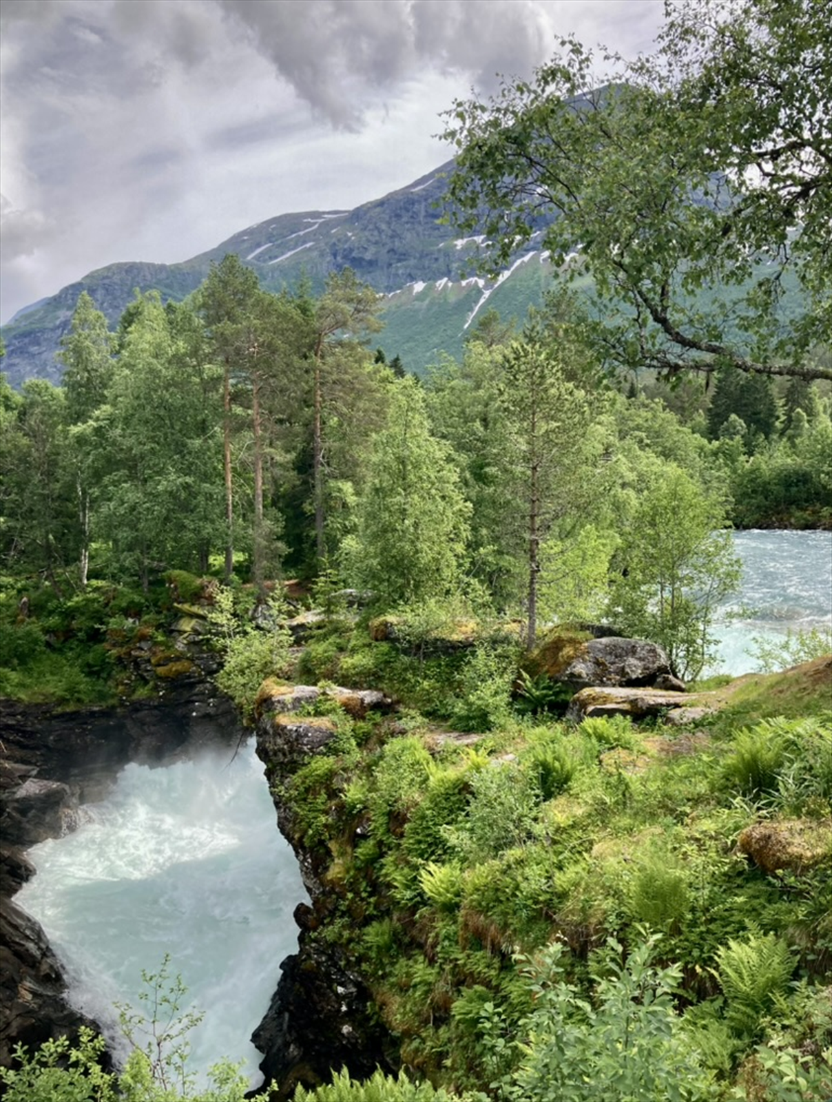 Flott naturbilde fra nærområdet. Galleribilde