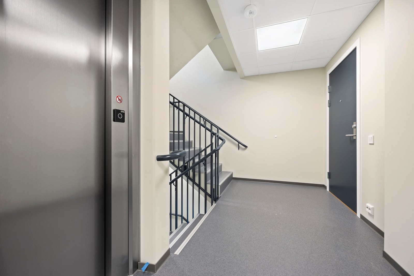 Pene fellesarealer Galleribilde