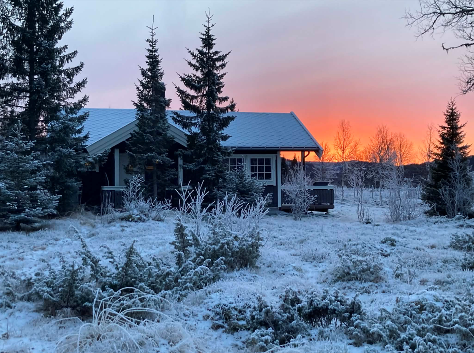 Vinter-/stemningsbilde fra selger. Galleribilde