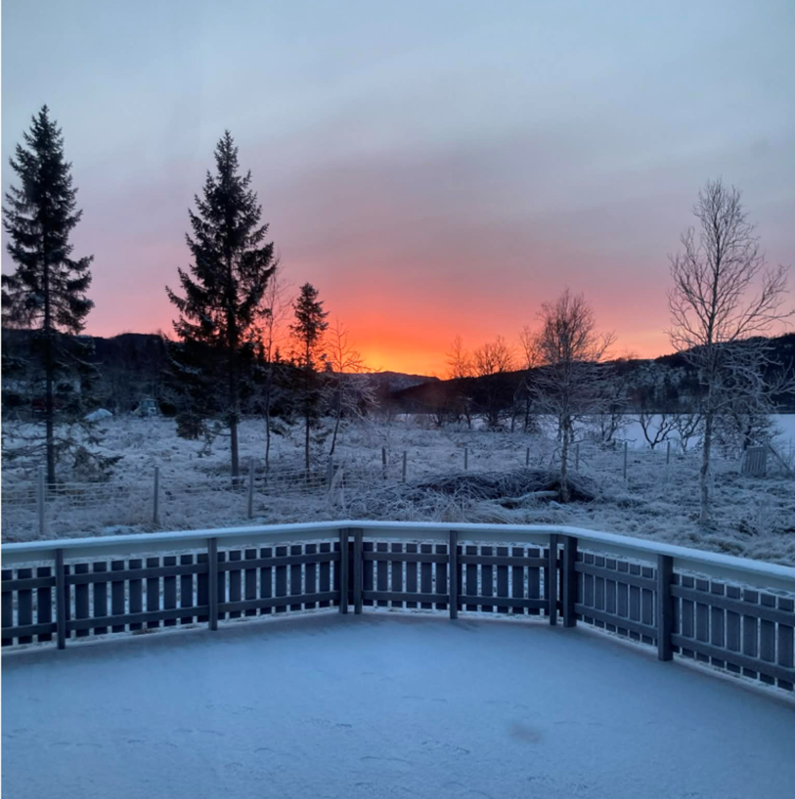 Fantastisk vinterlys :-) Galleribilde