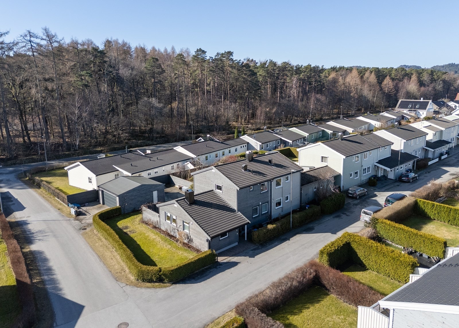 Solrikt, usjenert og romslig hage Galleribilde