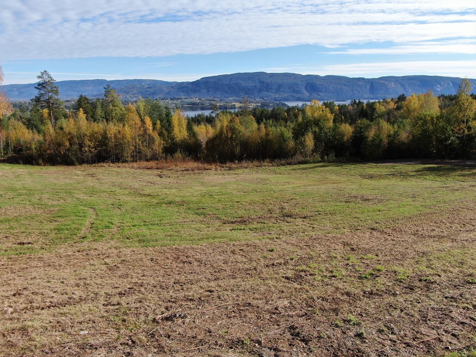 Småbruket er en eiet tomt over to teiger på ca. 48 dekar, med blant annet 7,5 dekar fulldyrka jord og ca. 30,1 dekar produktiv skog. Galleribilde