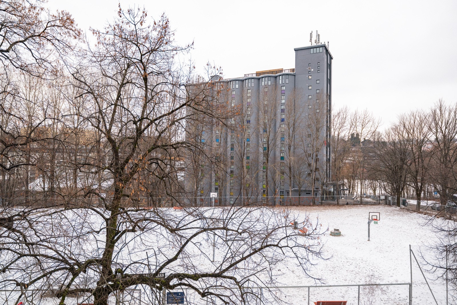 Hyggelig utsyn mot friarealer og gaten med frodige trær på sommerstid. Galleribilde