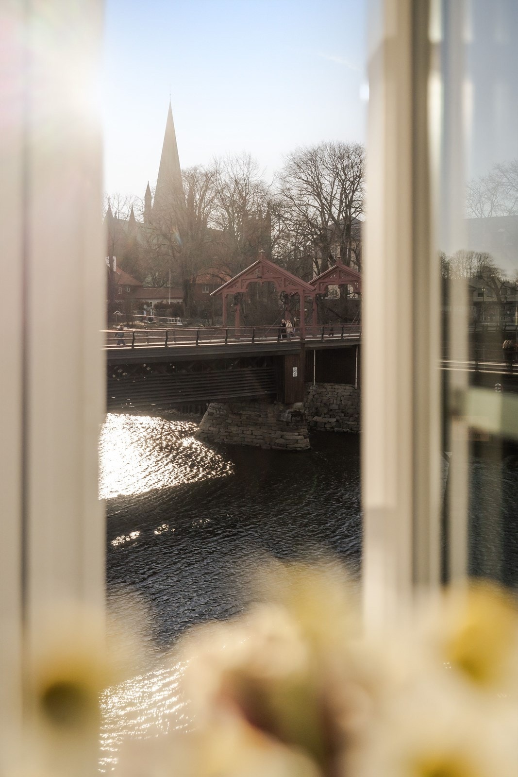 Skuet fra sofakroken er ikke annet en beundringsverdig. Galleribilde