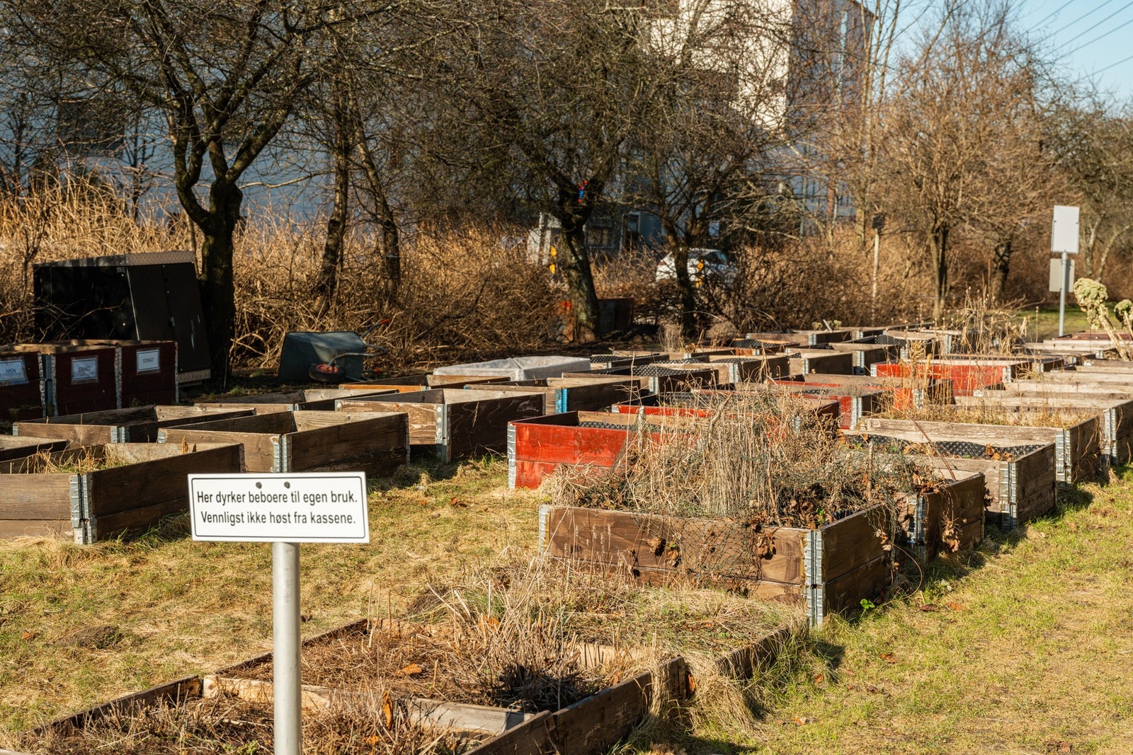 Parsellkassene kan benyttes av beboerne for privat dyrking. Galleribilde