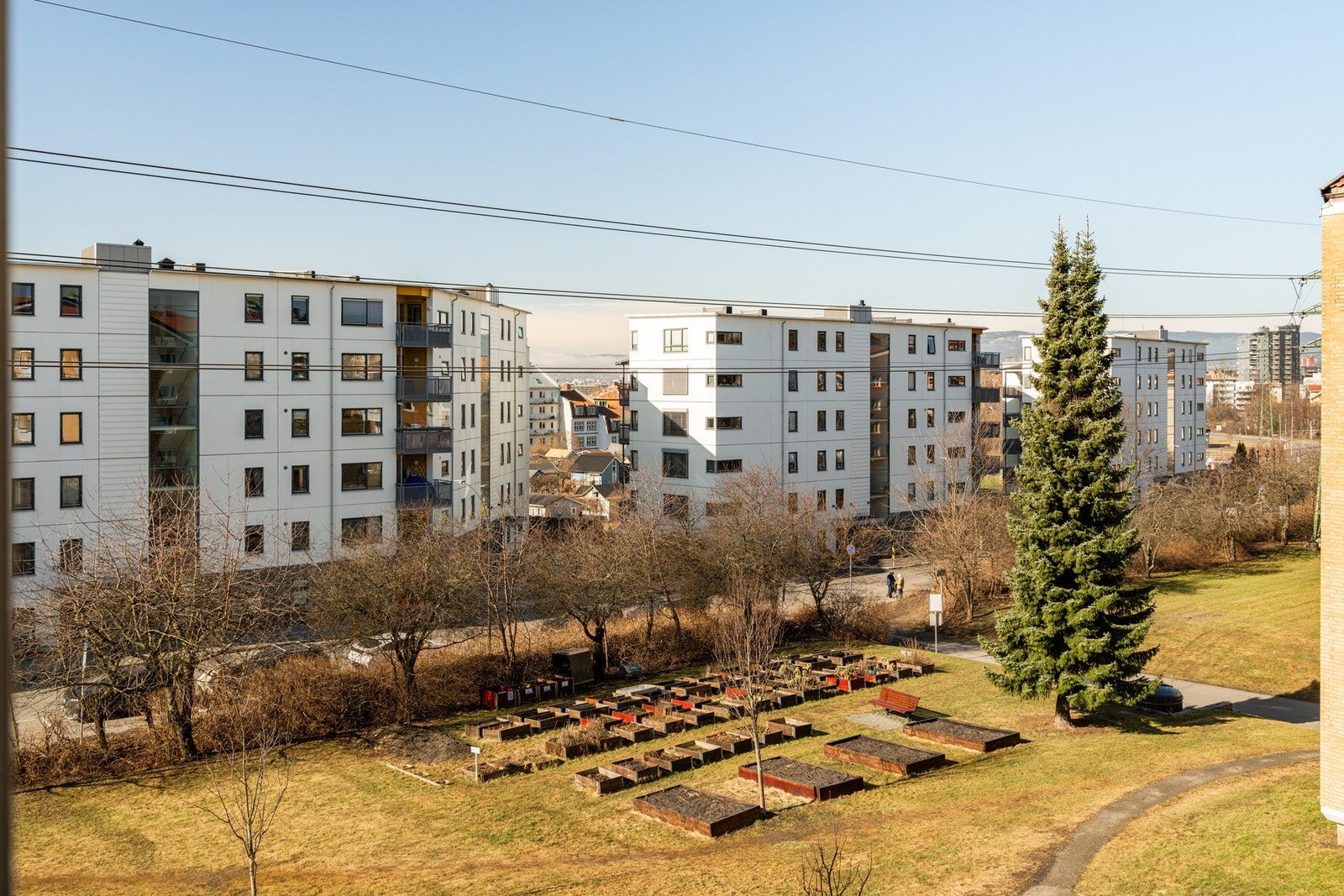 Borettslaget har hyggelige fellesområder med gressplen, asfalterte veier og beplantning. Galleribilde
