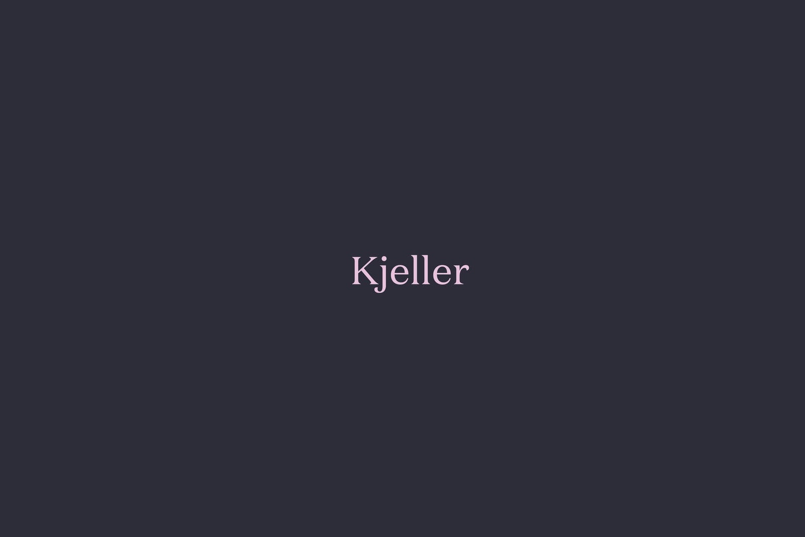 Kjeller består av kjellerstue, gang, 2 boder og bad/vaskerom. Galleribilde