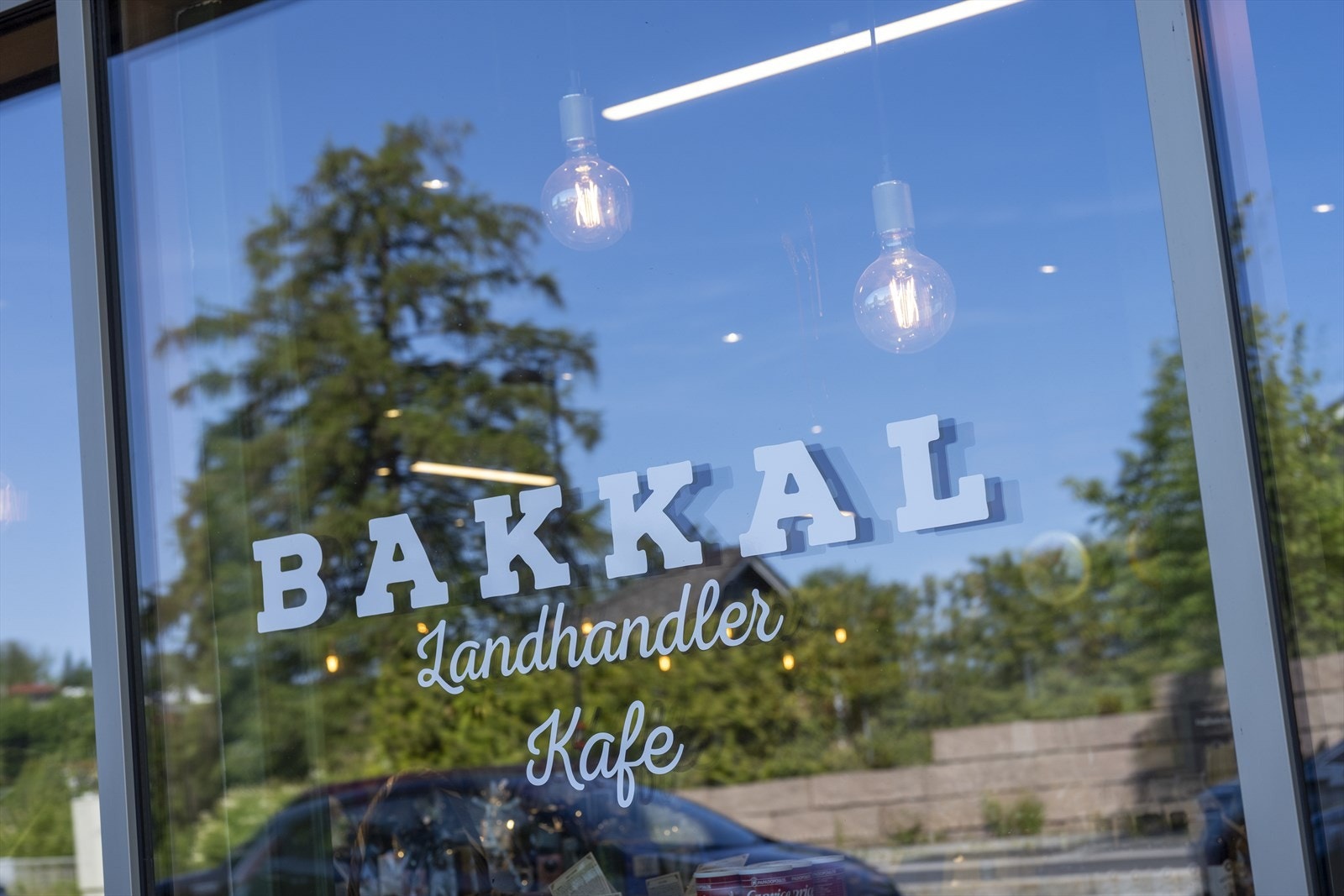 Områdebilde. Galleribilde