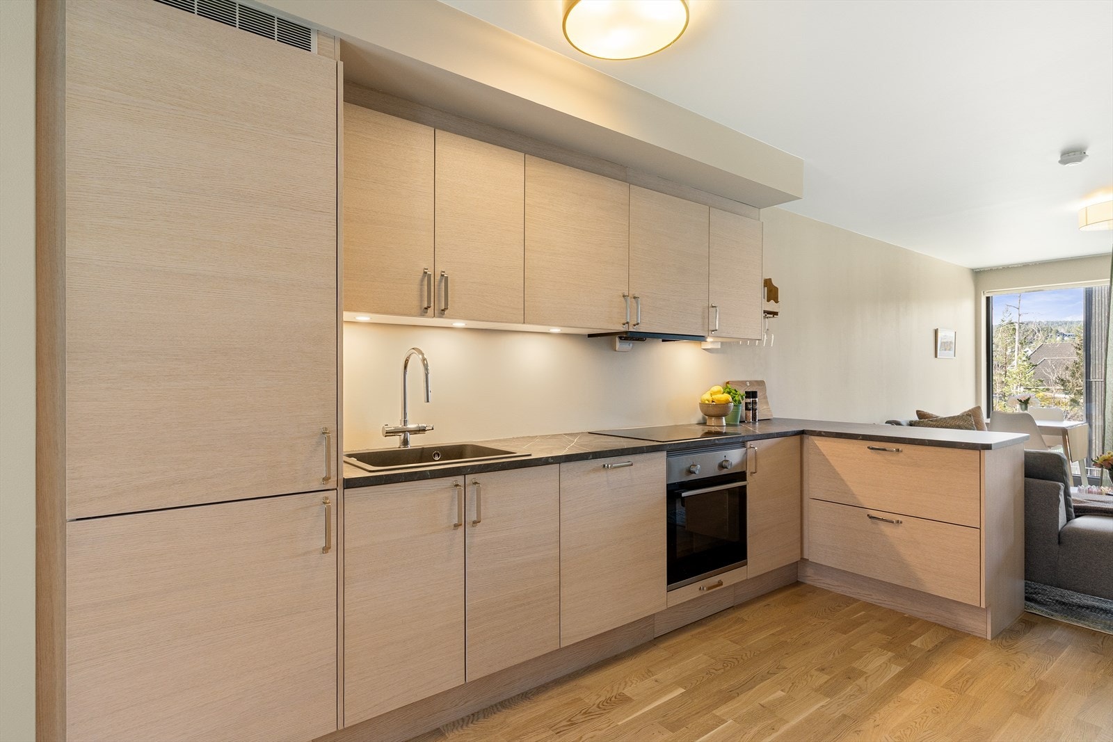 Integrerte hvitevarer som består av stekeovn, kombinert kjøl- og fryseskap, platetopp og oppvaskmaskin. Galleribilde