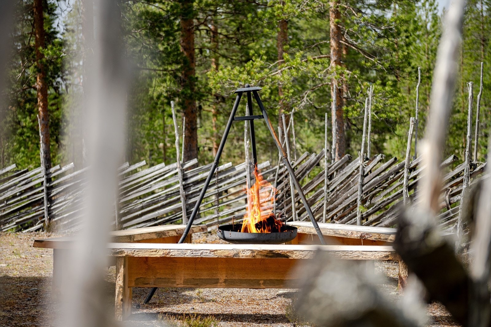 Bålplassen er omkranset av tradisjonell skigard, som gir en autentisk følelse av norsk natur. Galleribilde