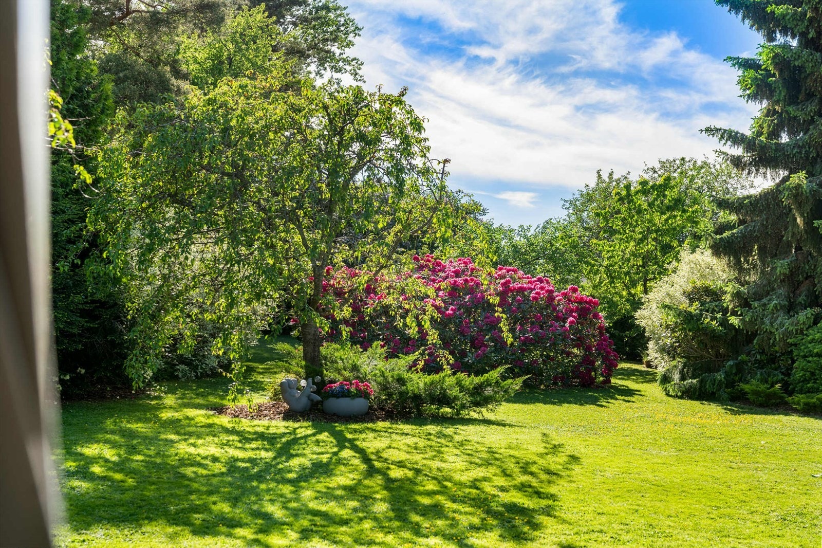 Hagen er omkranset av flotte, høye trær som gir ro og privatliv. Galleribilde