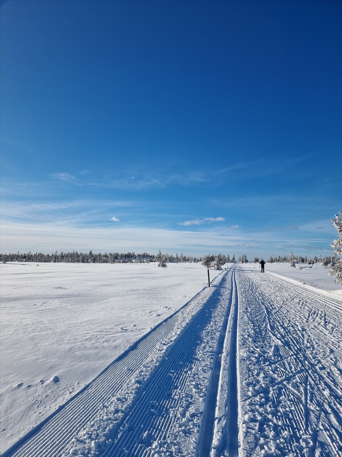 Gåsbu er kjent som et snøsikkert eldorado for alle som er glade i å gå på ski. Privat bilde Galleribilde