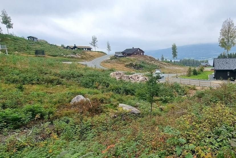 Tomta Galleribilde