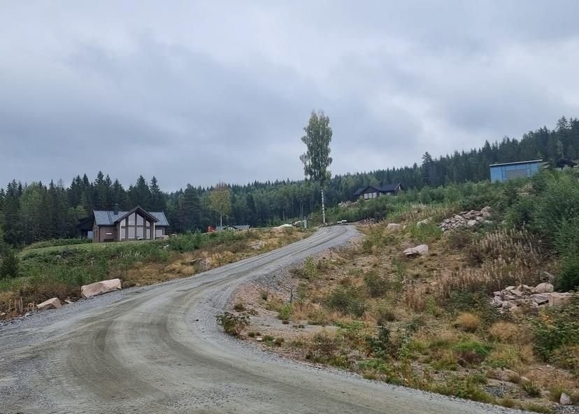 Miljø Galleribilde