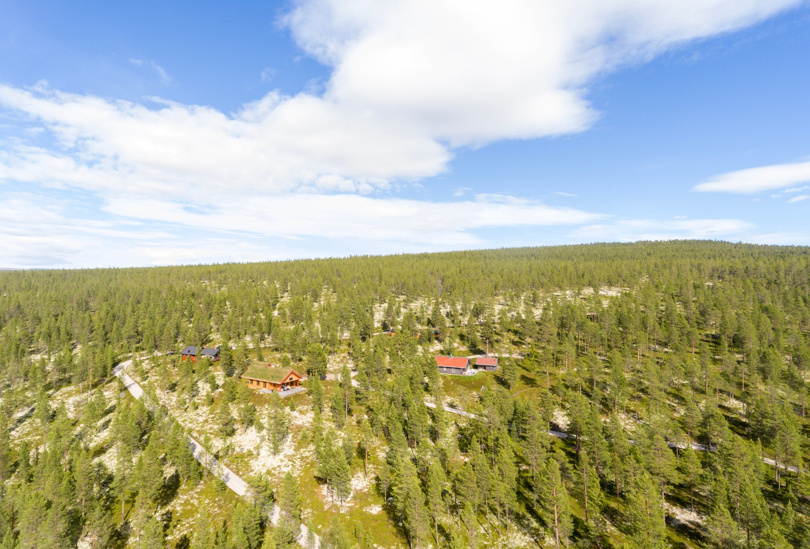 Velkommen til Rendalen og Rødvola hyttefelt! Galleribilde