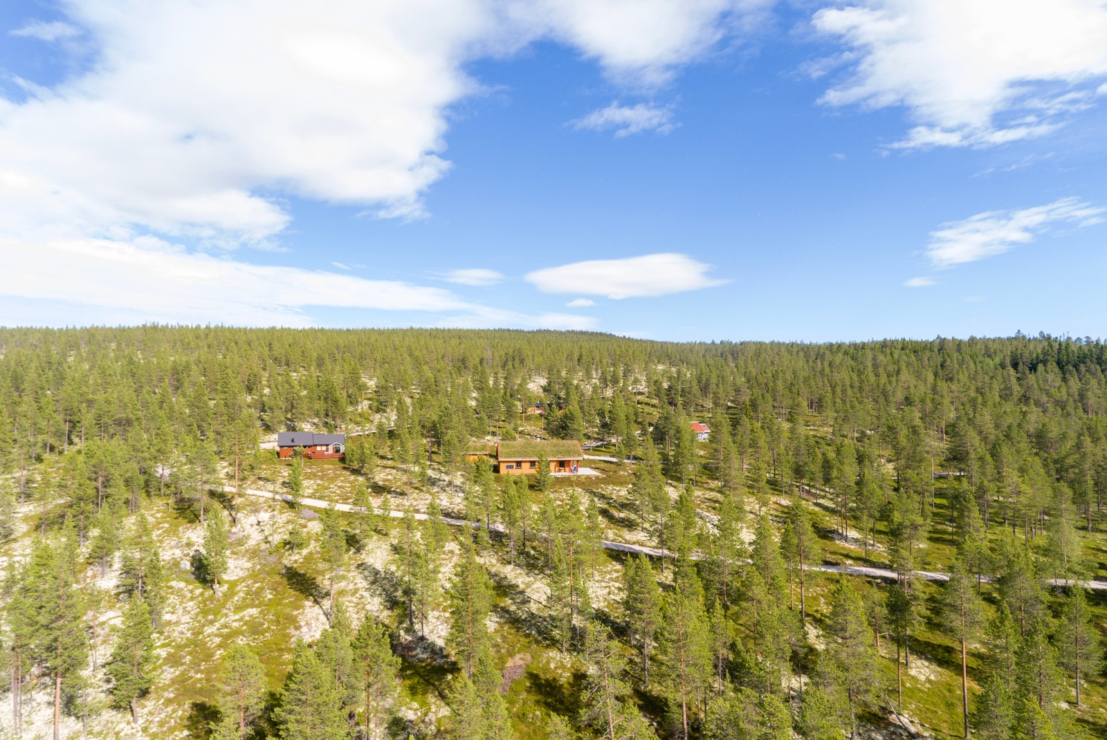 Rødvola hyttefelt, idyllisk beliggende like øst for Unset i Rendalen Galleribilde