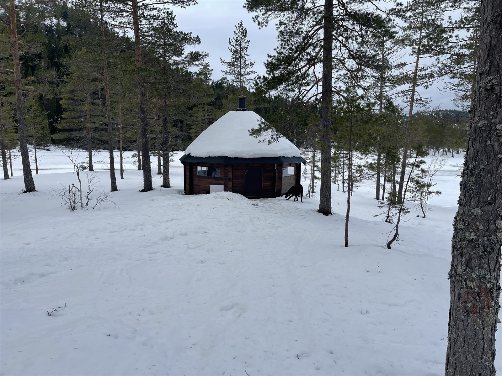 Områdebilde | Privat bilde fra selger. Galleribilde