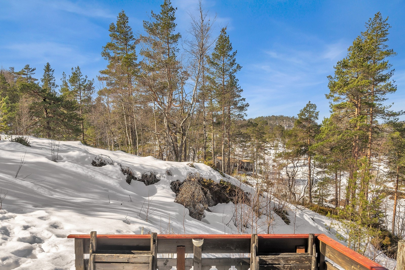Nærhet til flotte skiløyper som er tilknyttet løypenettet på Fjellestad Galleribilde
