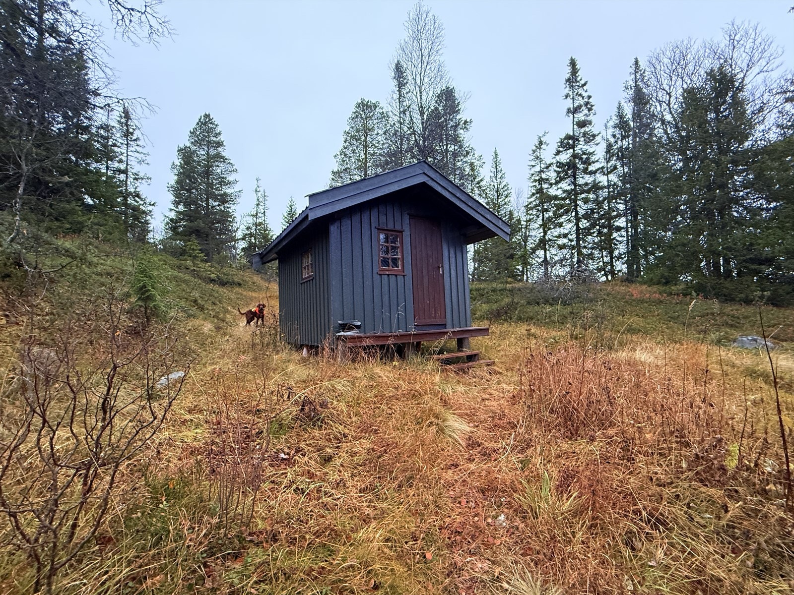 Uthus Galleribilde