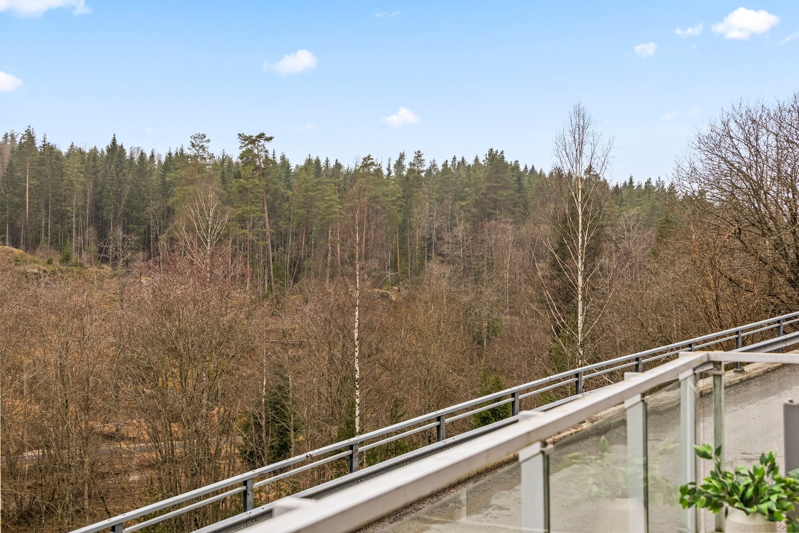 Utsyn over skog og mark på andre side av veien. Galleribilde