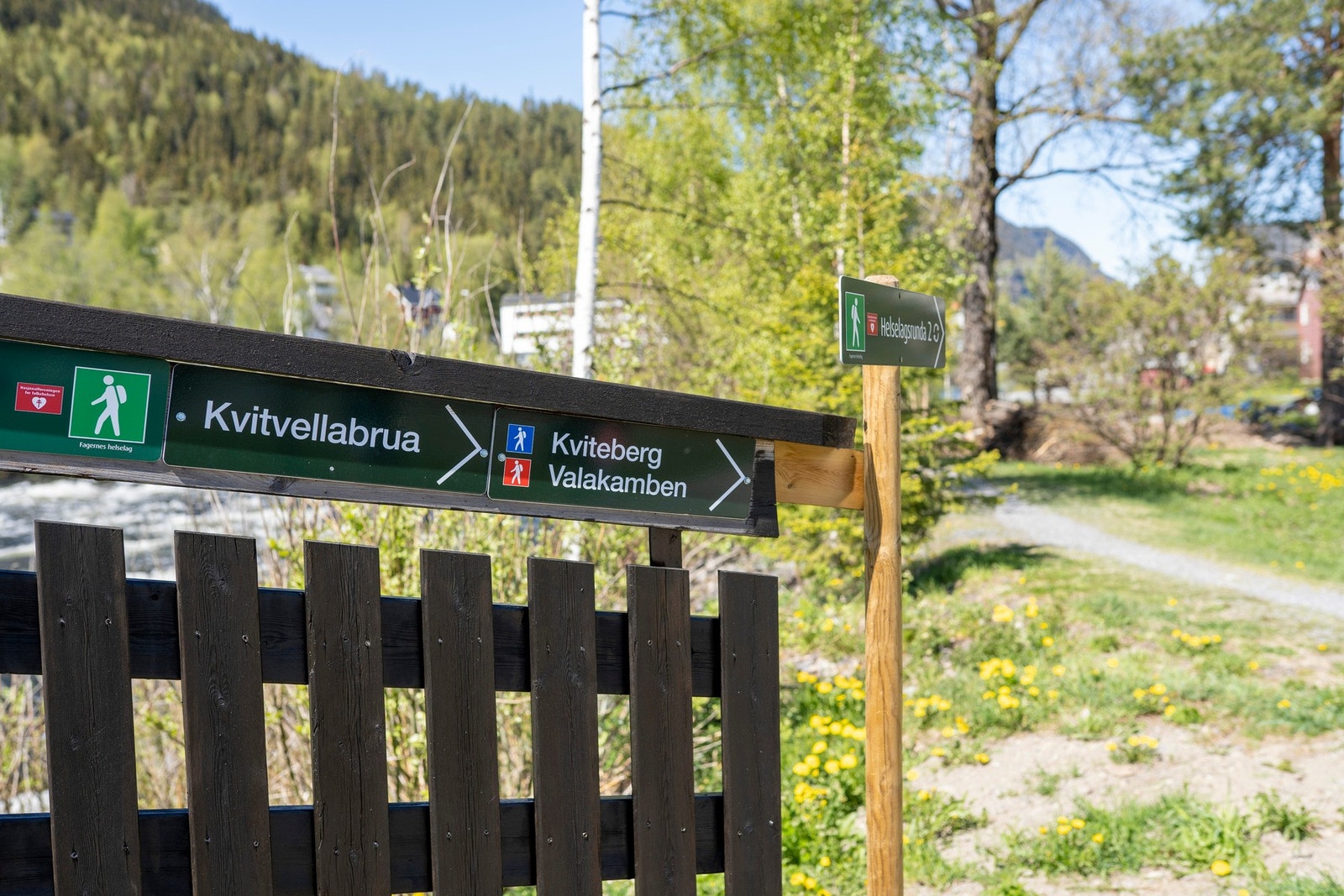 Kviteberg og Valakamben er to populære turmål som garantert får opp pulsen. Premien er den flotte utsikten på toppen. Følg veien fra boligen mot Nesjordet og følg merket sti herfra Galleribilde
