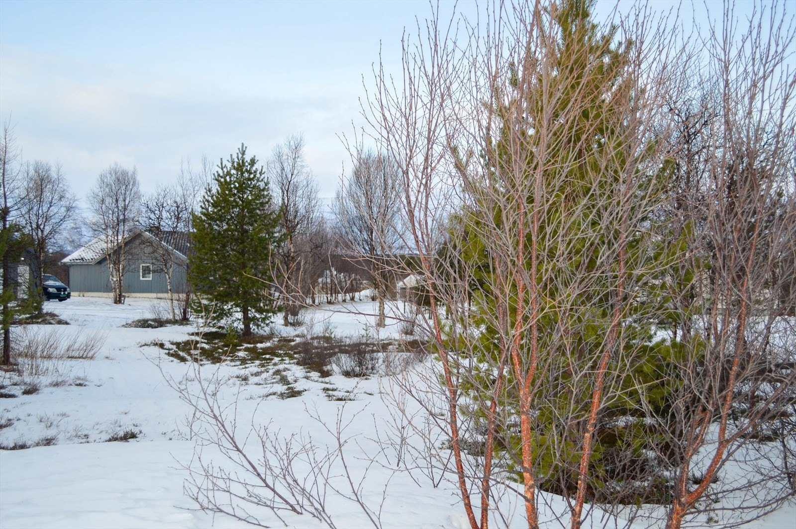Sjarmerende eiendom i naturskjønne omgivelser.
Perfekt for deg som søker ro og stillhet. Galleribilde