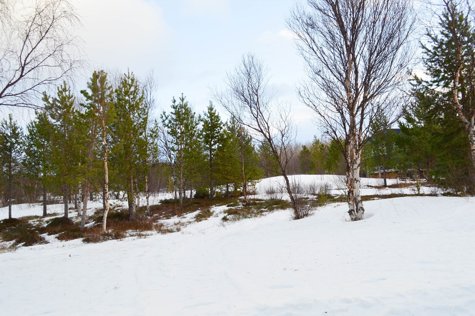 Nydelig naturtomt. Rolige omgivelser og flotte turmuligheter året rundt. Perfekt for naturentusiaster og friluftsliv. Galleribilde