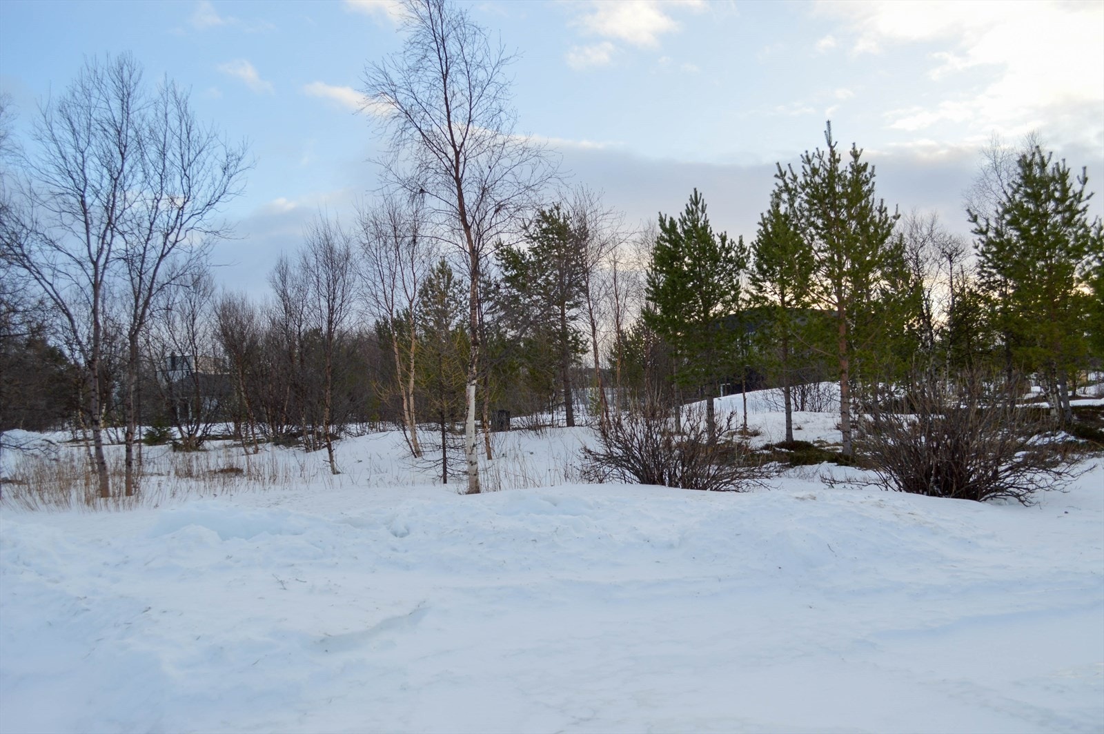 Vakker, snødekt tomt omringet av trær, gir en rolig og naturskjønn beliggenhet. Perfekt for naturentusiaster og fredelige omgivelser. Galleribilde