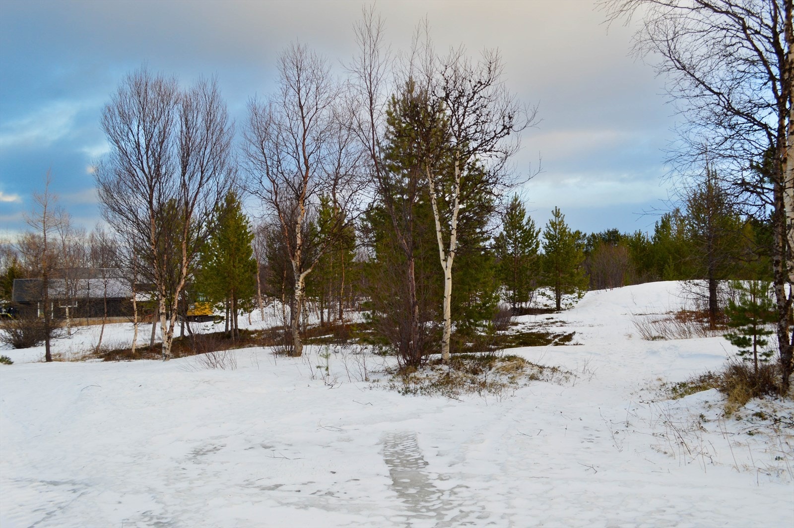 Idyllisk beliggenhet omgitt av trær og natur. Perfekt for de som søker ro og naturopplevelser. Galleribilde