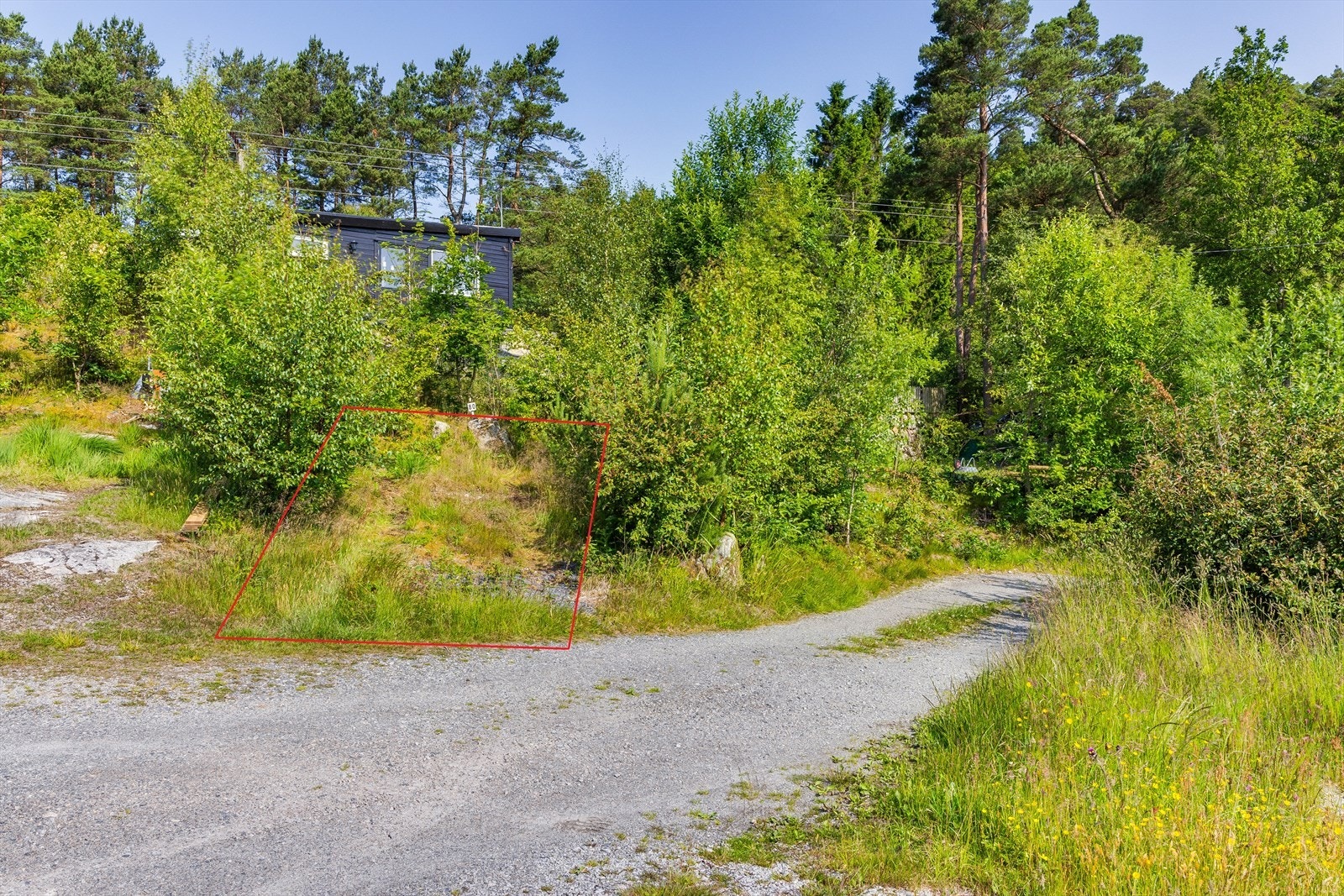 Parkeringsplass nr. 80. Galleribilde