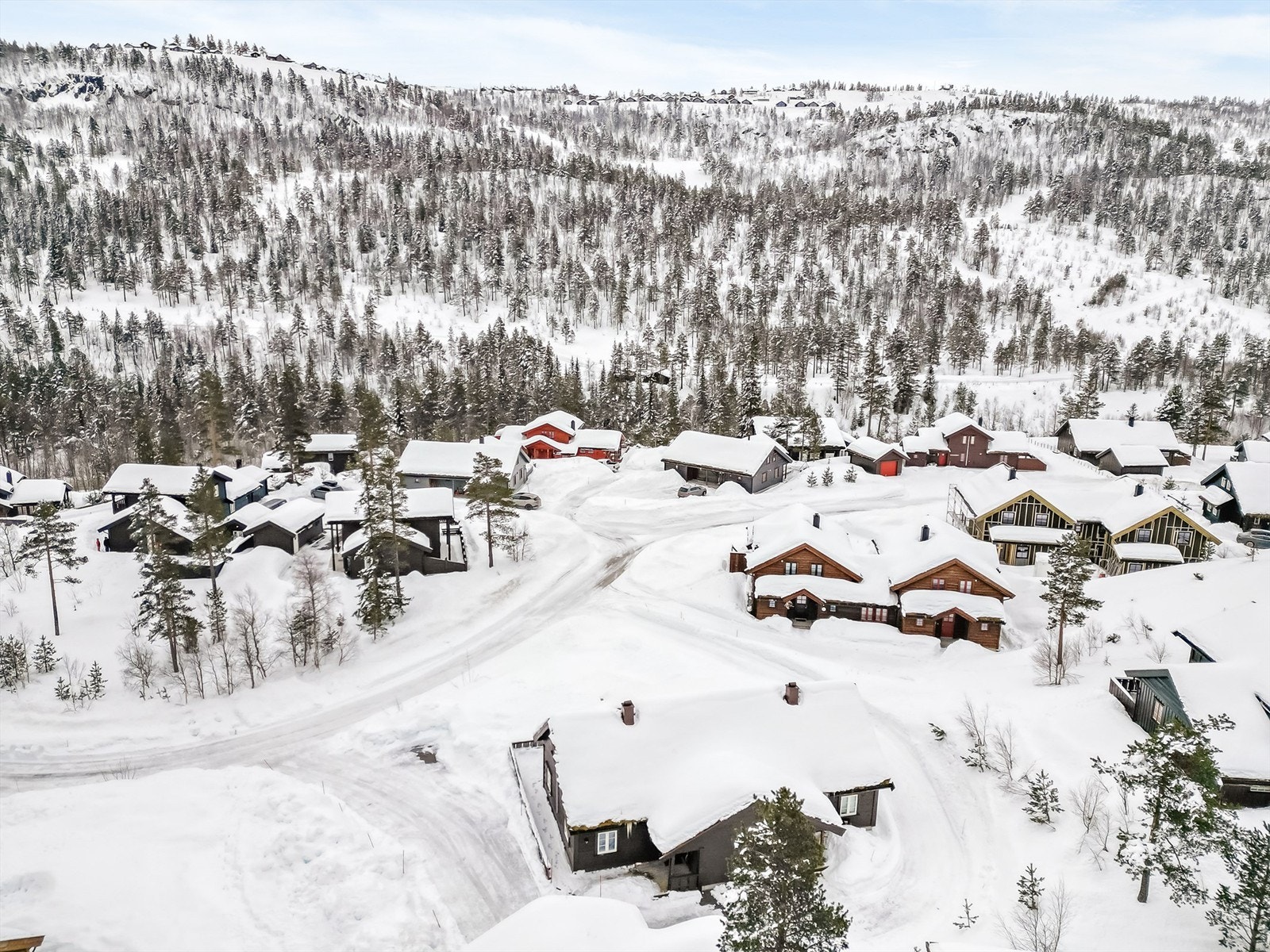 Nærhet til skiløyper og skisenteret. Galleribilde