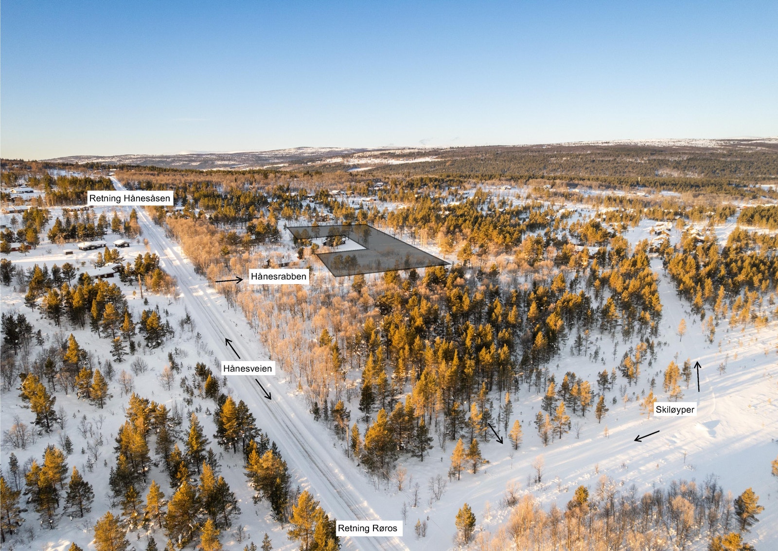 Oversikt, retning Hånesåsen Galleribilde