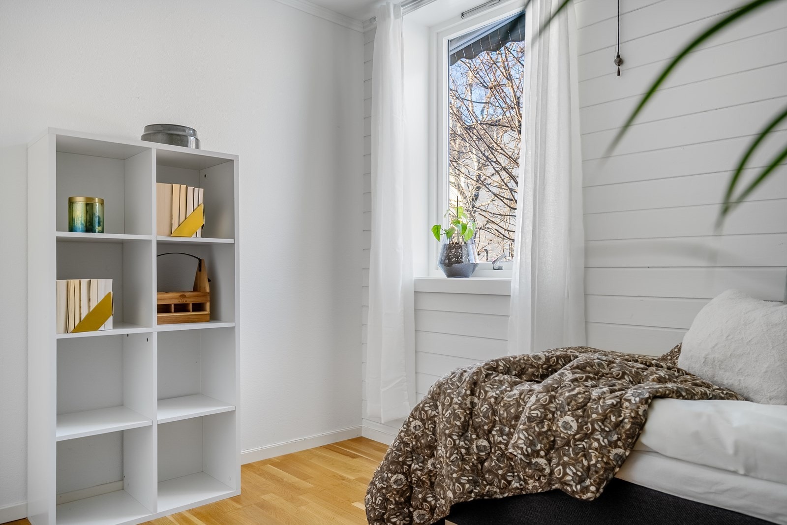 Godt med lysinnslipp fra vinduet. Galleribilde