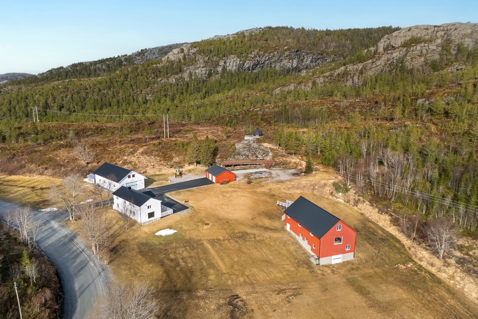 Vasslia- en unik plass Galleribilde